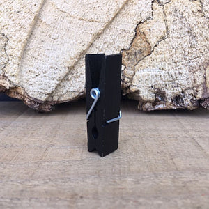 Zwarte mini knijper met magneet kopen? | Knijpertjes