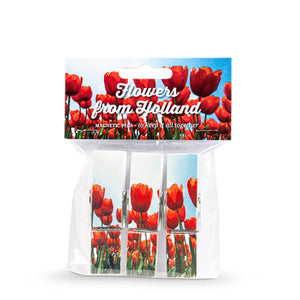 Holland souvenir Tulpen | Knijpertjes