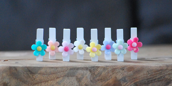 Decoratie knijpertjes | Knijpertjes.nl