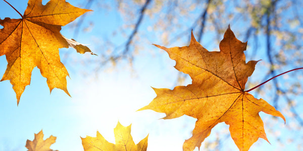 Wasknijpers kopen online? | Knijpertjes