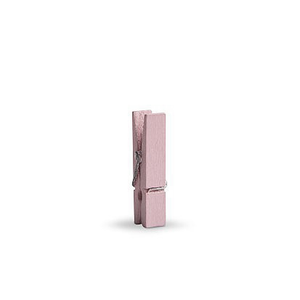 Mini knijpertjes licht roze | Knijpertjes