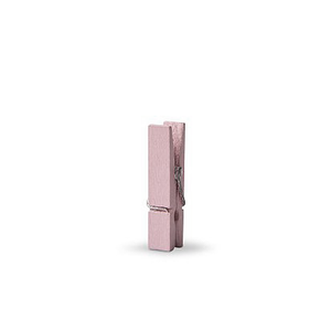 Mini knijpers licht roze | Knijpertjes