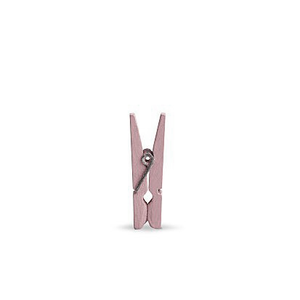 Mini wasknijpers licht roze | Knijpertjes