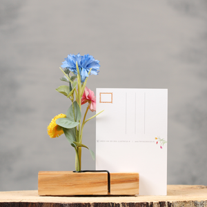 Origineel hollands cadeau | Knijpertjes