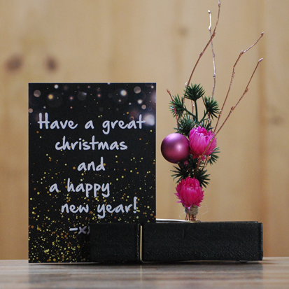 Origineel kerstgeschenk | Knijpertjes.nl