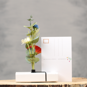 Origineel hollands cadeau | Knijpertjes