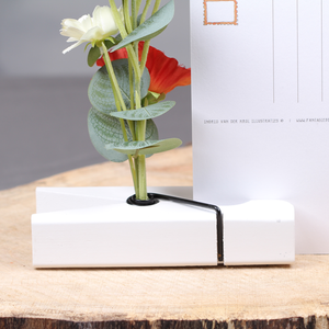 Originele holland cadeaus | Knijpertjes