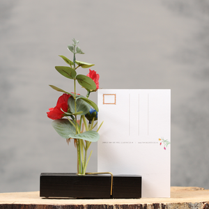 Origineel hollands cadeau | Knijpertjes