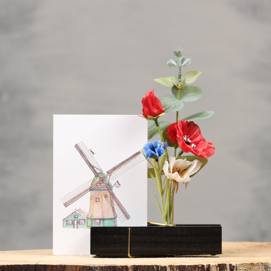 Origineel holland cadeau | Knijpertjes