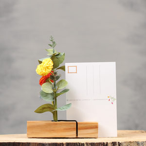 Originele holland cadeaus | Knijpertjes