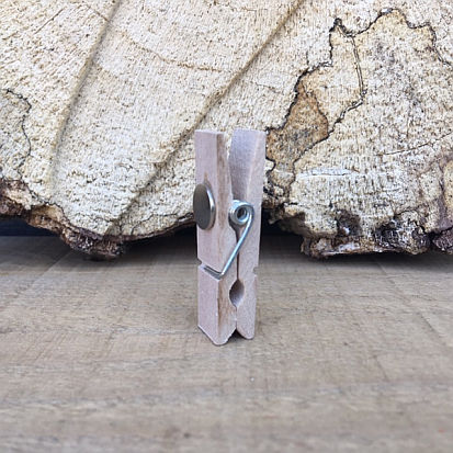 Mini wasknijper met magneet | Knijpertjes