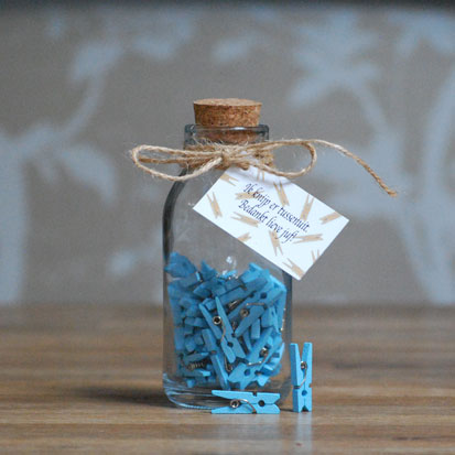 Juf bedankje lichtblauw | Knijpertjes