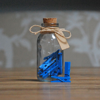 Leuke bedankjes | Mini knijpers blauw 