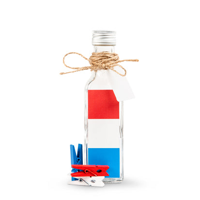 Holland souvenirs | Knijpertjes.nl