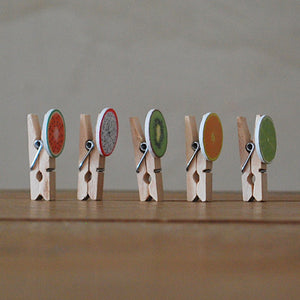 Decoratieve knijpers | Mini knijpers | Knijpertjes.nl 