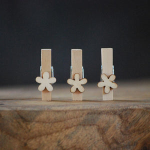 Decoratieve mini knijpers | Knijpertjes