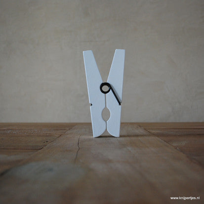 magneet wasknijpers | originele bedankjes | Knijpertjes