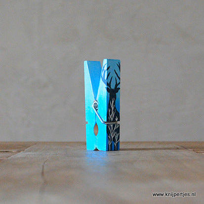 Originele bedankjes | Knijpertjes