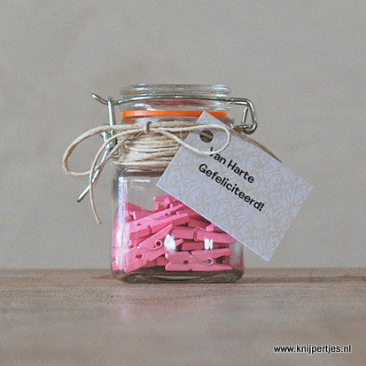 Roze mini knijpertjes | Knijpertjes.nl