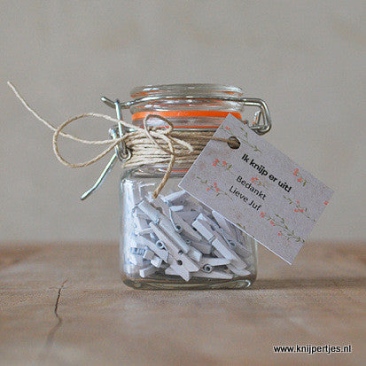 Witte mini knijpers | Leuke bedankjes | Knijpertjes.nl