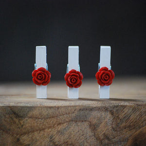 Mini knijpers met rode rozen