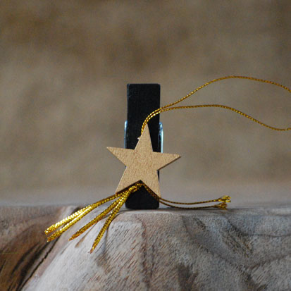 Mini knijper Ster goud Geluk