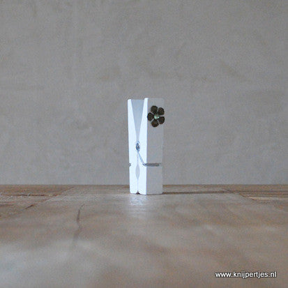 Originele cadeaus | Knijpertjes