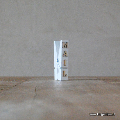 magneet wasknijpers | originele bedankjes | Knijpertjes