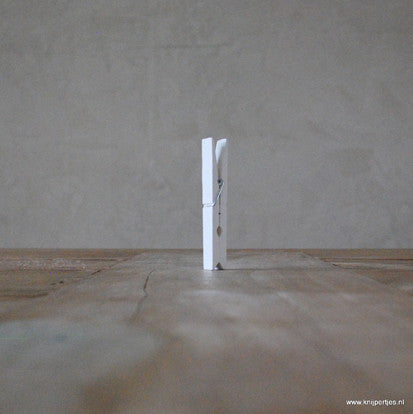 Wasknijpers wit | Knijpertjes.nl