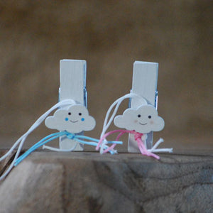 Mini knijpers met geboorte decoratie | Knijpertjes