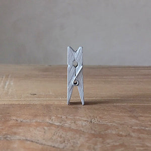 Mini knijper zilver | Knijpertjes